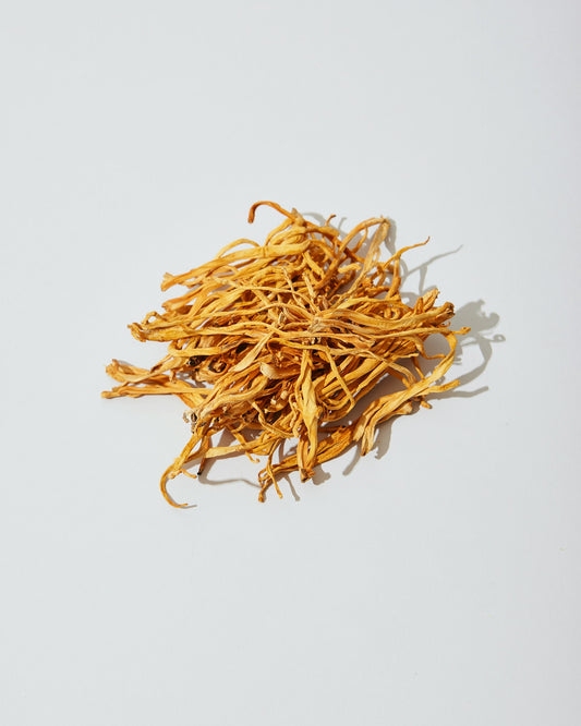 Arretez les boissons énergisantes. Voici pourquoi le Cordyceps est la clé pour booster votre énergie naturellement!