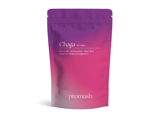 Chaga